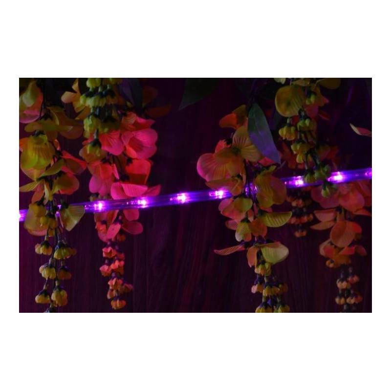 cordon led rose 30m tube plastique