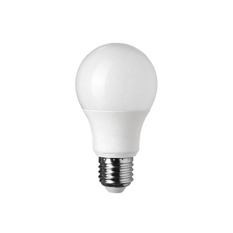 Ampoule LED A60 E27 10W 6000k blanc froid professionnelle professionnel