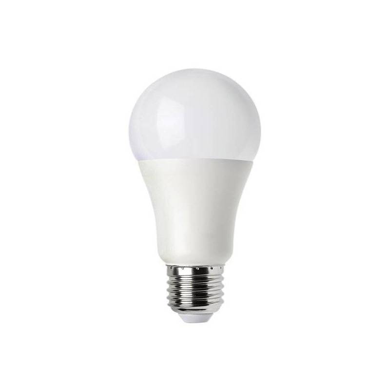 Ampoule LED A65 E27 15W 6000k blanc froid professionnelle professionnel