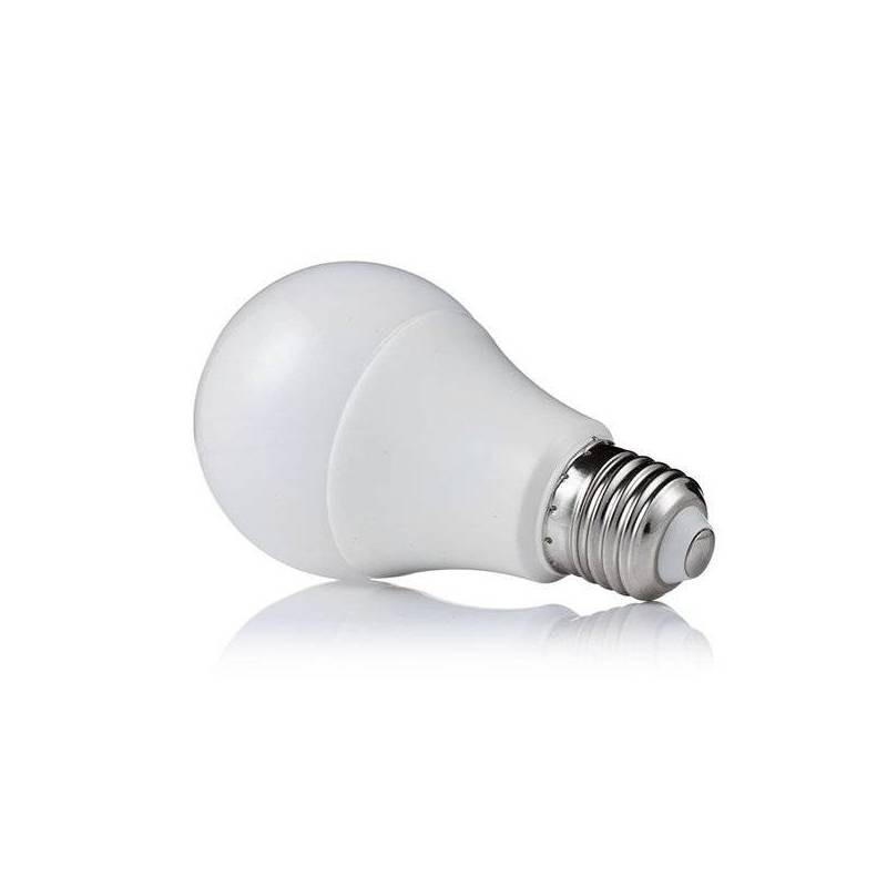 Ampoule LED A65 E27 15W 6000k blanc froid professionnelle professionnel