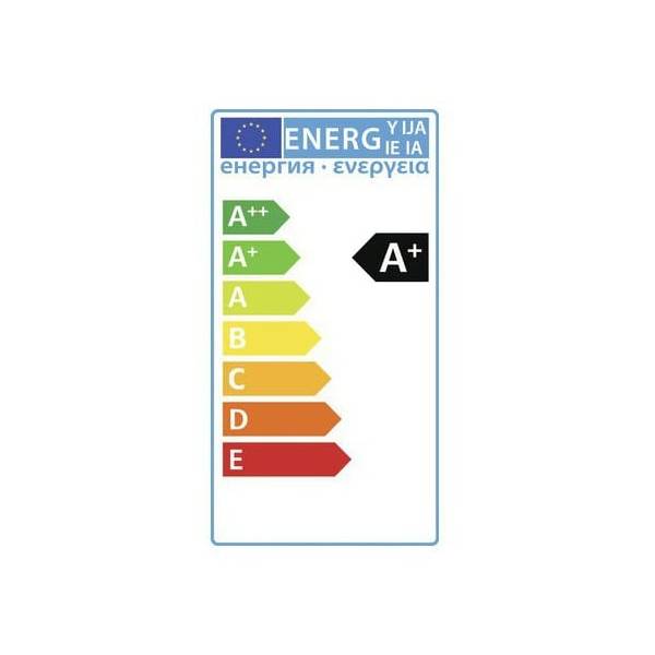 Applique murale connectée intelligente extérieure noire LED 5W RGB + blanc 12V Garden Pro classe A+ énergie basse tension