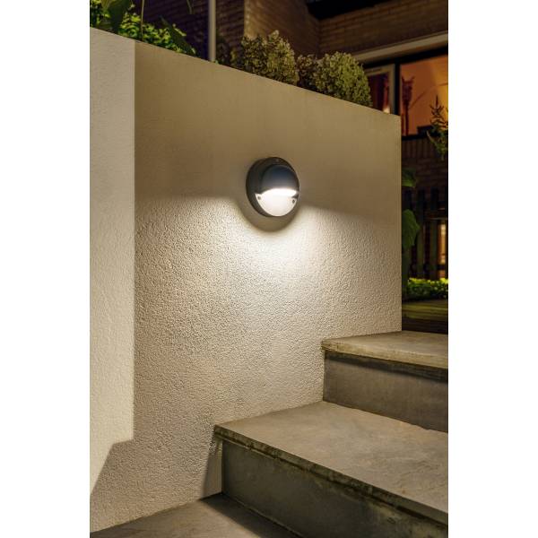 Applique murale LED extérieure noire 1W Garden Pro jardin terrasse luminaire plante allée porte d'entrée étanche