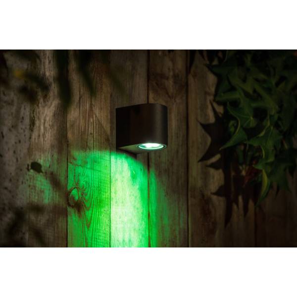 Applique murale connectée intelligente extérieure noire LED 5W RGB + blanc 12V Garden Pro