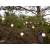 Guirlande lumineuse guinguette 6M 20 LED blanc chaud extensible noir