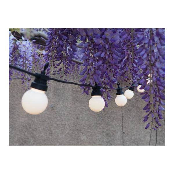 Guirlande lumineuse guinguette 6M 20 ampoules LED blanc chaud câble noir extensible IP44 Elume