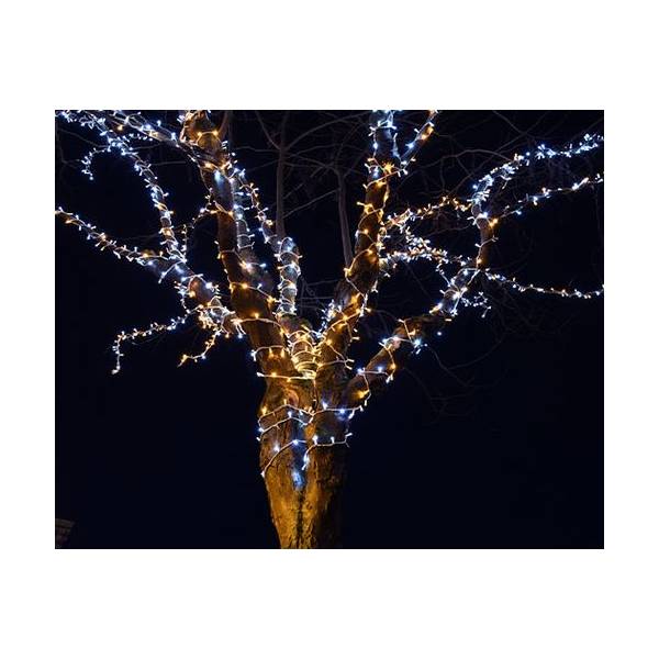 Guirlande lumineuse extérieur blanc chaud et froid scintillante 20M classic'line 200 LED 230V Leblanc 