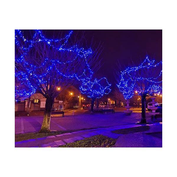 Guirlande lumineuse scintillante bleu et blanche 20M classic'line 200 LED 230V Leblanc