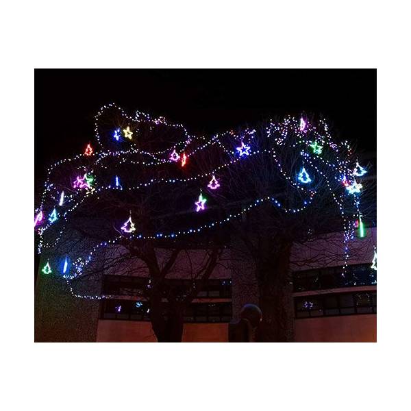 Guirlande lumineuse Confetti 20M 160 Led multicolores animées 230V câble vert Leblanc Chromex