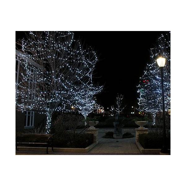 Guirlande lumineuse Canoa flash crépitant 20M 136 led blanc froid spéciale arbres 230V Leblanc Chromex