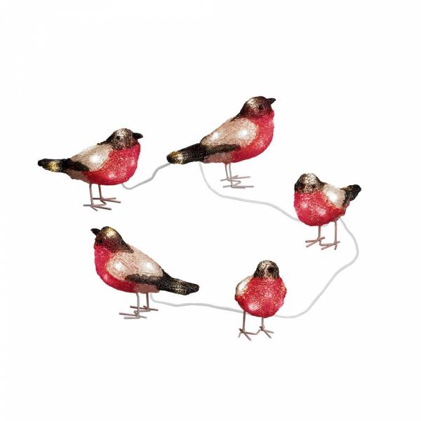 Lot de 5 oiseaux bouvreuils lumineux rouge acrylique 4M 40 LED blanc froid Konstsmide