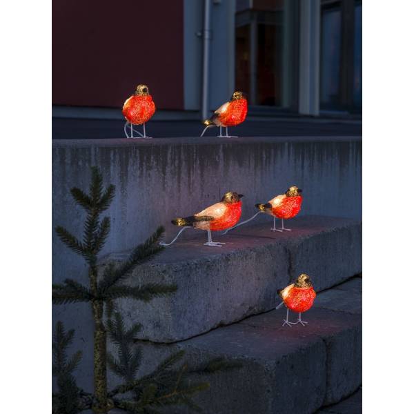 Lot de 5 oiseaux bouvreuils lumineux rouge acrylique 4M 40 LED blanc froid Konstsmide