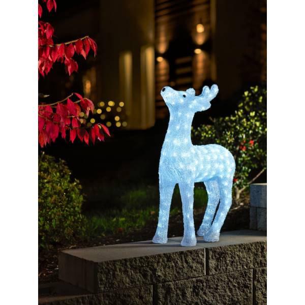 Petit Renne lumineux blanc acrylique 60cm 176 LED câble blanc