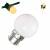 Ampoule B22 plastique 1W LED Blanc très chaud 2200K G45 pour guirlande guinguette professionnelle