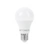 Ampoule LED E27 A60 10W 806lm 6000k dimmable blanc froid professionnelle 