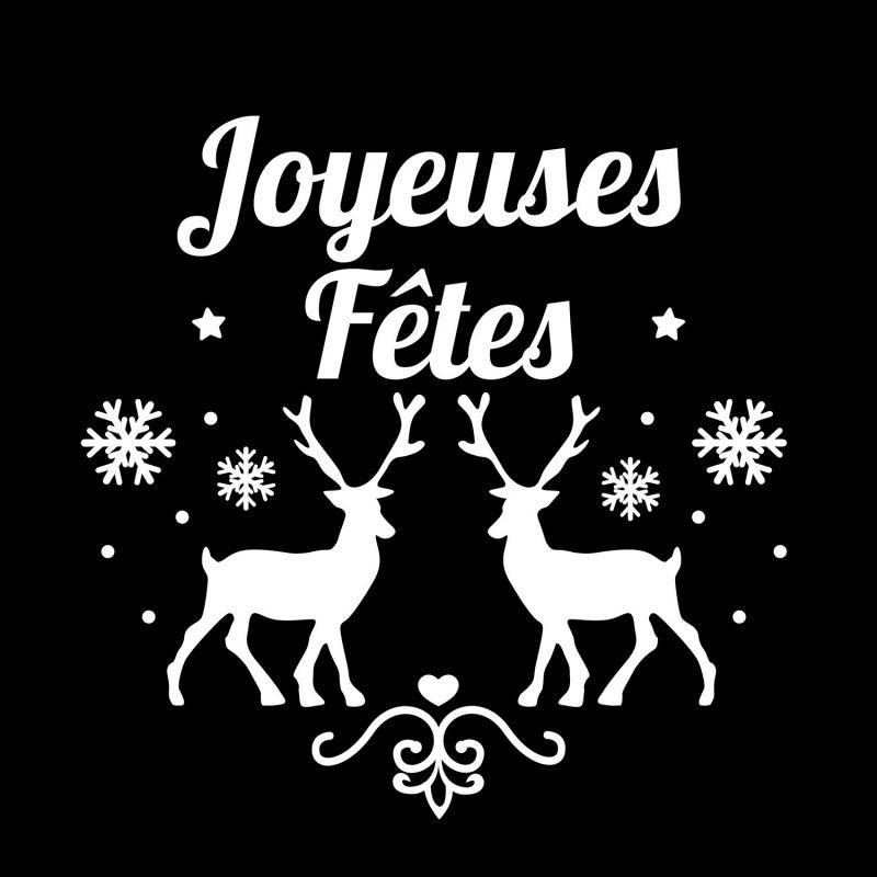 Gobo Ø37-23mm Rennes Joyeuses Fêtes Blanc et Noir compatible uniquement avec les Projecteurs LED Professionnels